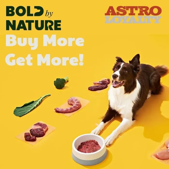 Promotion Image