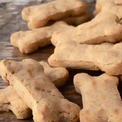 Image Alternative Text