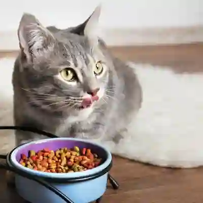 Image Alternative Text