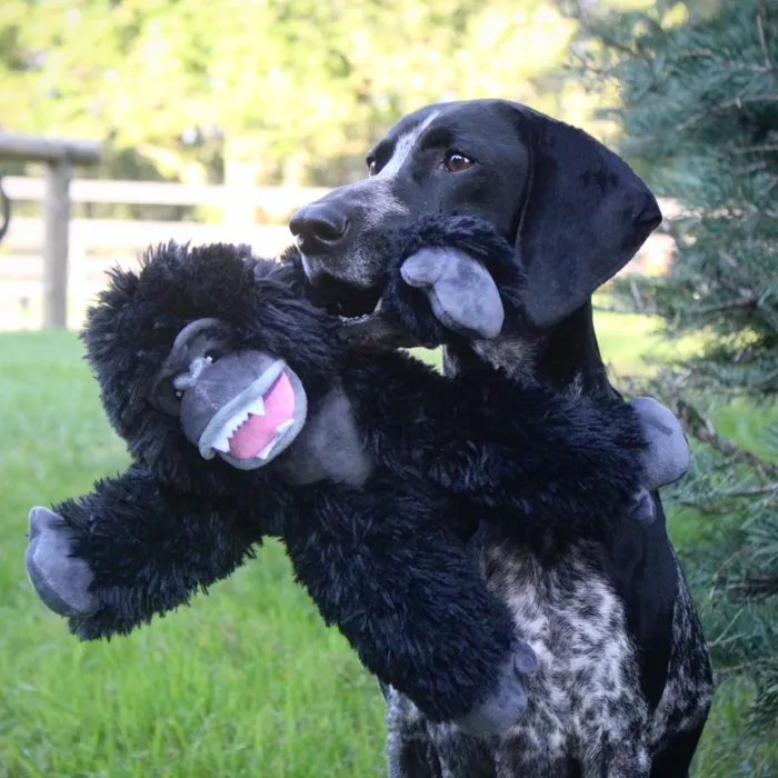 Tall Tails | Rope Gorilla 14"