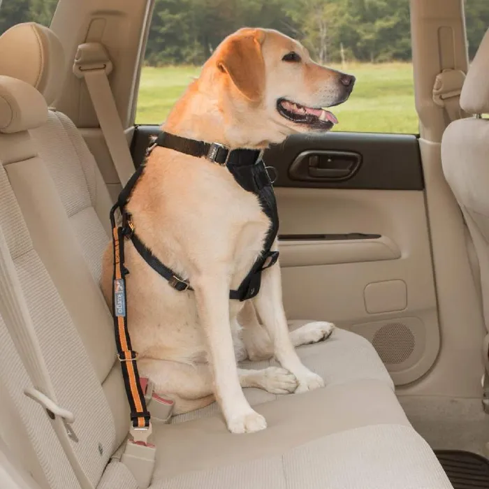 Direct To Seatbelt Tether