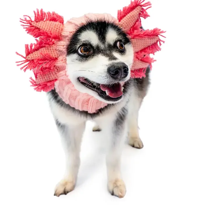 Zoo Snoods | Axolotl Medium