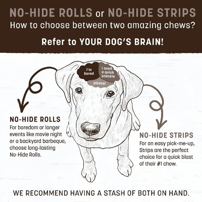 Earth Animal No-hide Pb Chew Dog Treat, Medium, 2-pack (size: Medium, 2-pack)