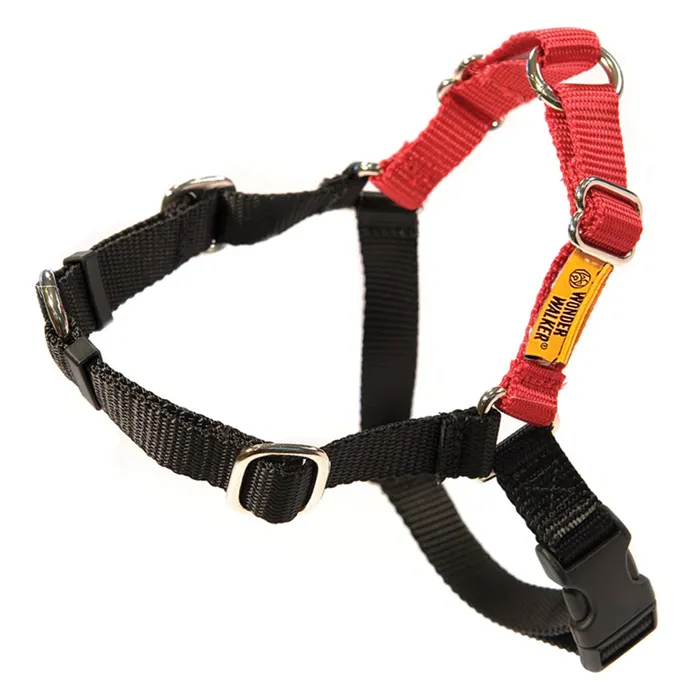 Wonder Walker | Red X-Large