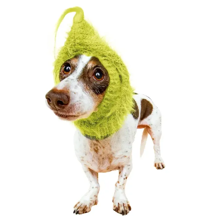 Zoo Snoods | Grouch Dog Large