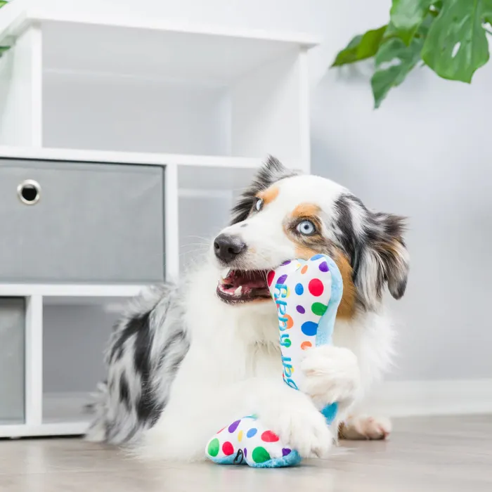 Huxley & Kent | My Barkday Bone Small FINAL SALE