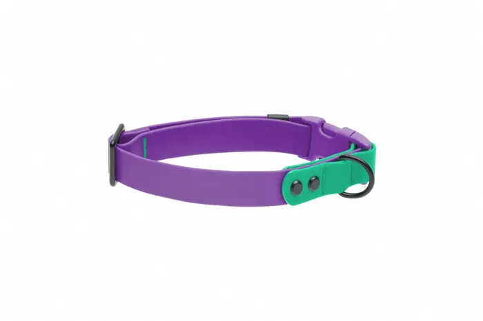 RC | Waterproof Collar M Purple/Parakeet