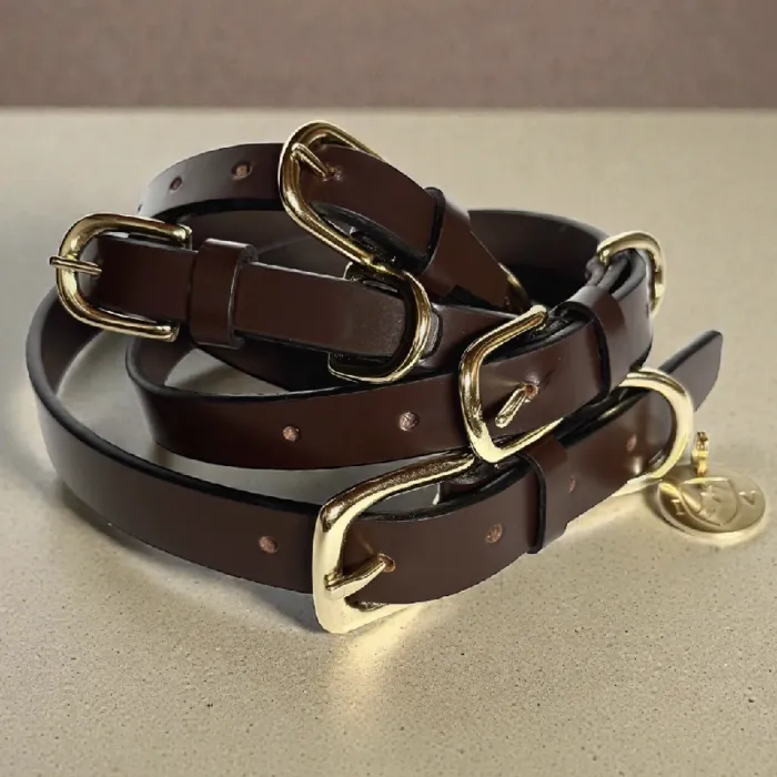 IV | Leather 1" Collar 20-24" Large Brown
