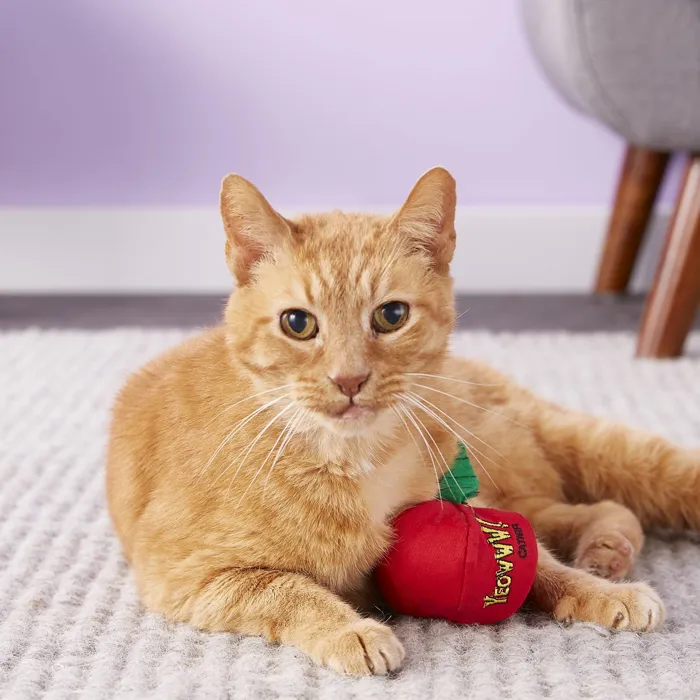 Apple Catnip Toy Apple