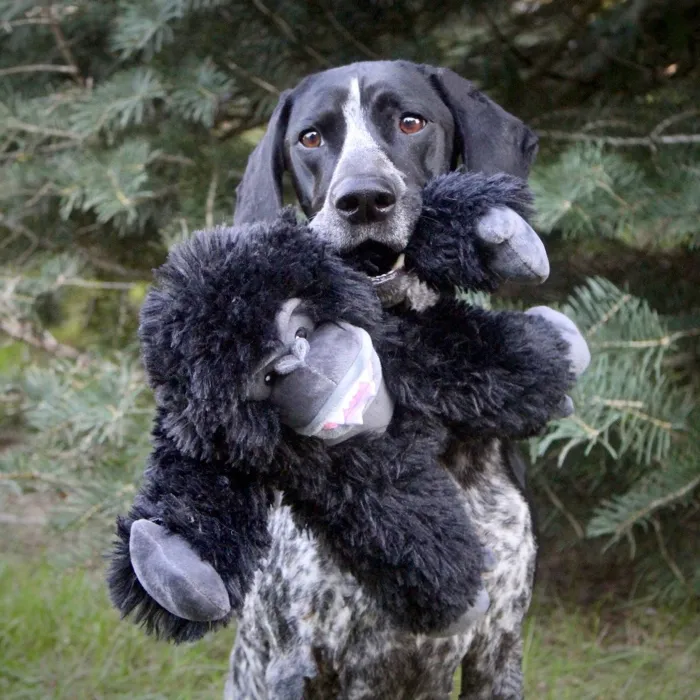 Tall Tails | Rope Gorilla 14"