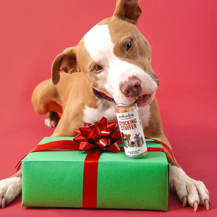 Polkadog Stocking Stuffer Chicken Recipe 2 oz dog treat lifestyle