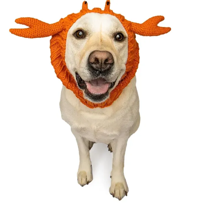 Zoo Snoods | Crab Dog Medium