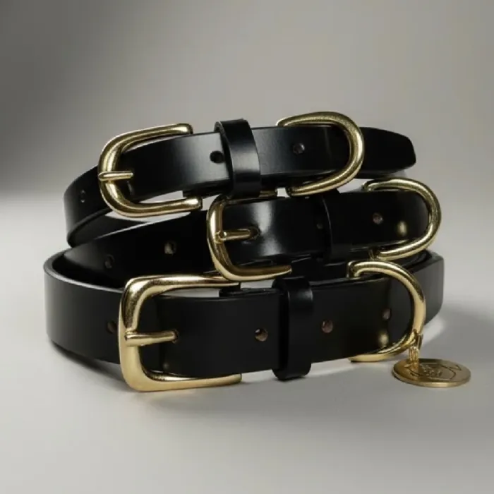 IV | Leather 1" Collar 20-24" Large Black