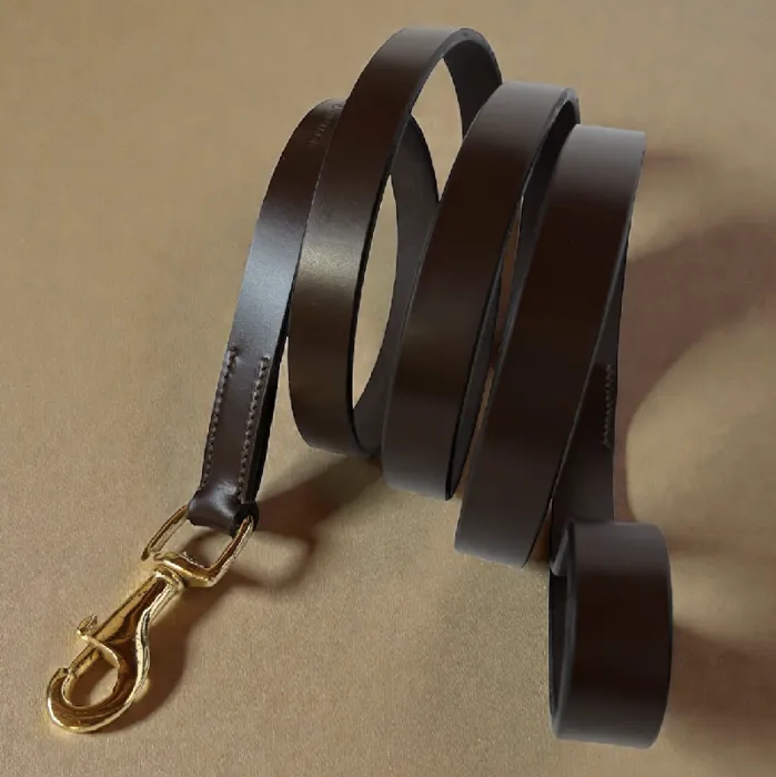 IV | Leather 1/2" Leash 6' Brown