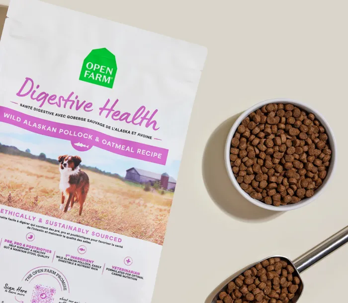 OF | Dog - DigestiveHealth Pollock&Oatml 4lb