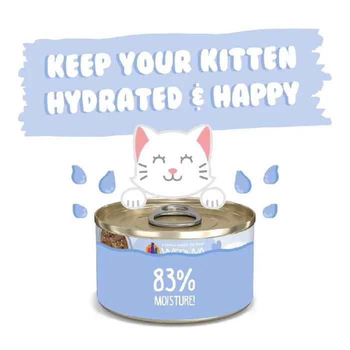 Weruva Kitten Can Chicken & Pumpkin In Gravy 3-oz