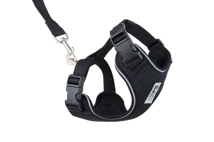 RC | Adventure Kitty Harness L Blk