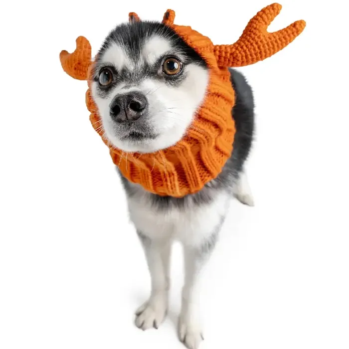 Zoo Snoods | Crab Dog Small