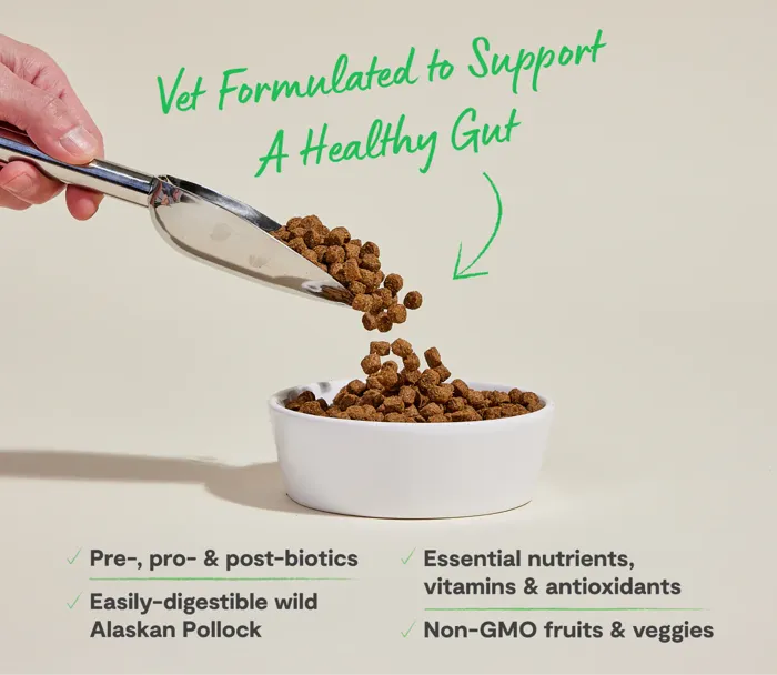 OF | Dog - DigestiveHealth Pollock&Oatml 4lb