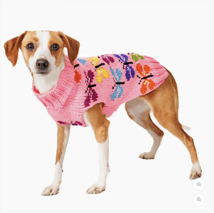 Chilly Dog | Butterfly Sweater SS