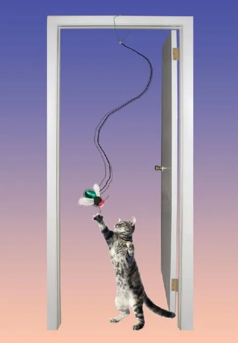 Spot Buzzing Inscect A-doorable