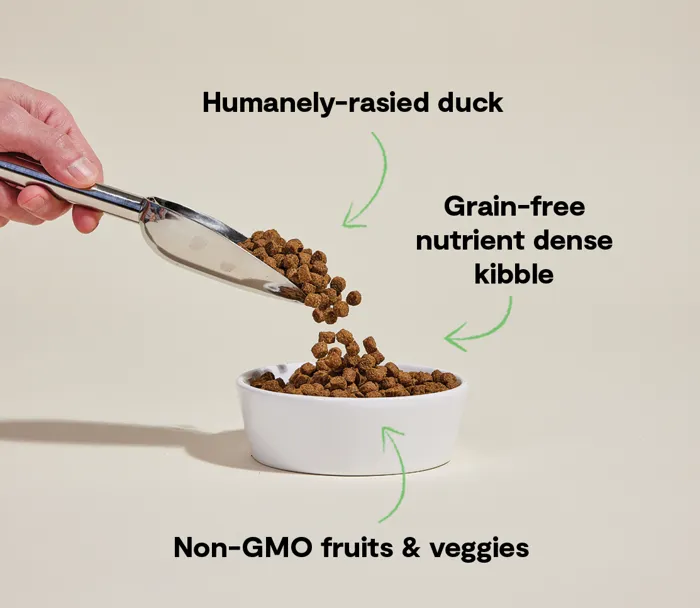 Open Farm Farmstead Duck Grain-Free Dog Food kibble close-up