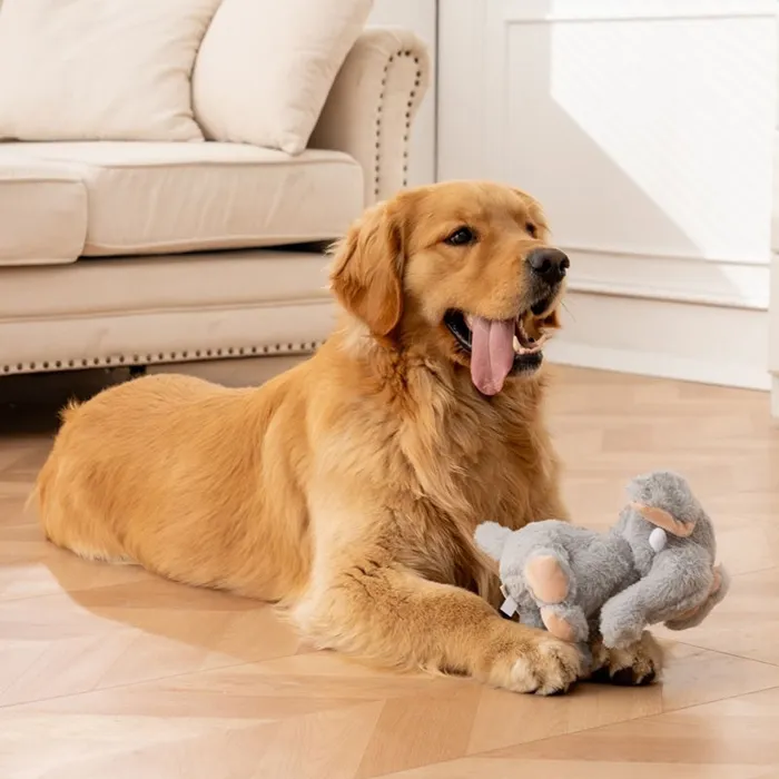 Tall Tails Animated Elephant 8.5-inch golden retriever interaction