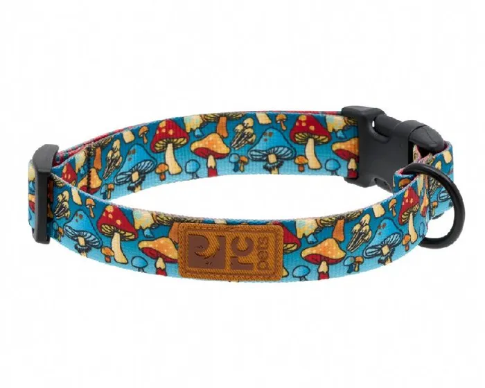 RC | Eco Clip Collar Funky Fungi Large