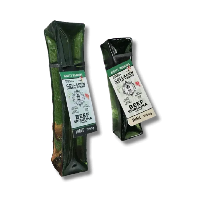 Wag & Bright | Dog Dental Chew Spirulina Beef L