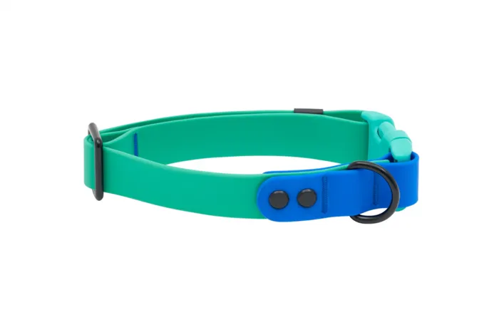 RC | Waterproof Collar M Parakeet/Sapphire