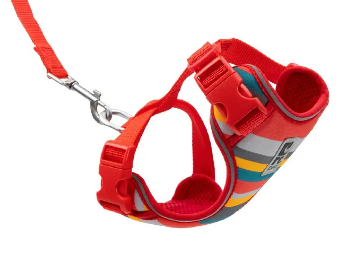 RC | Adventure Kitty Harness S Multi Stripes