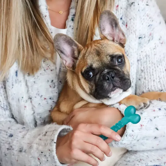 Antimicrobial Toys - Teal 5" Bone