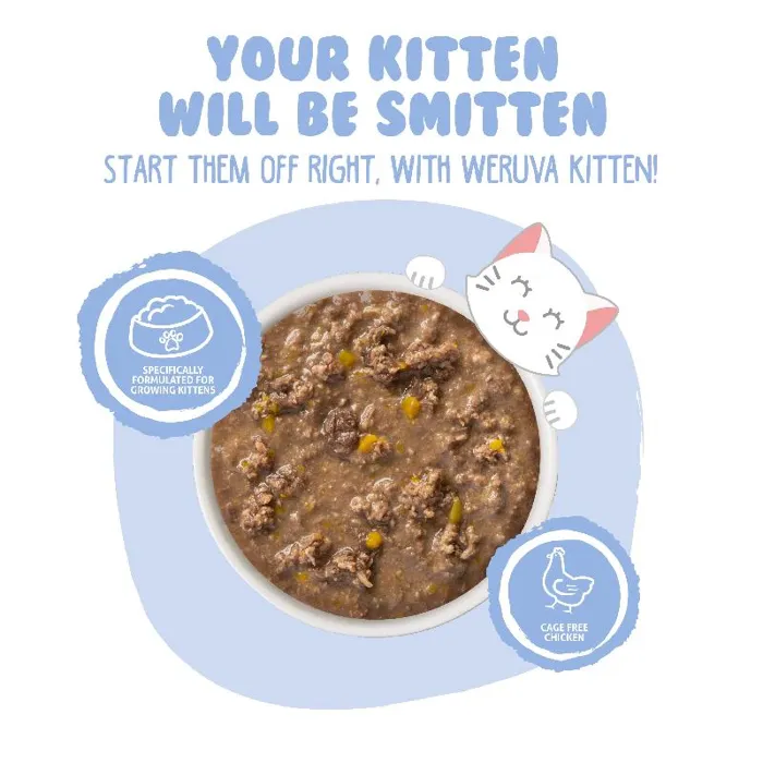 Weruva Kitten Can Chicken & Pumpkin In Gravy 3-oz