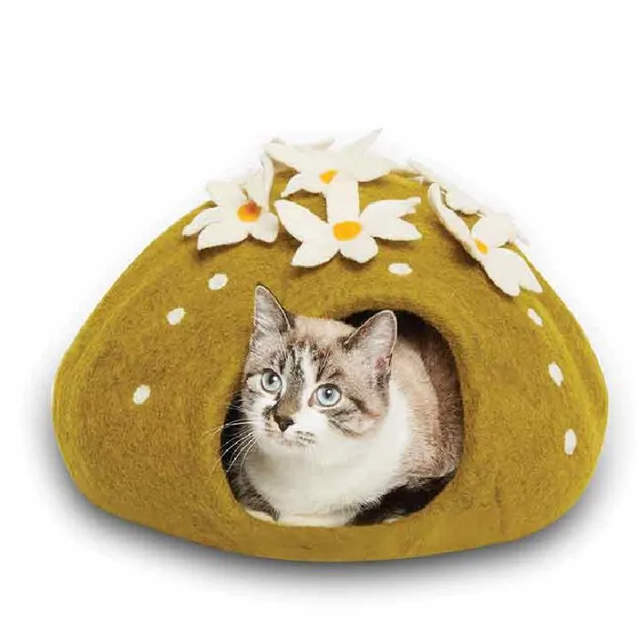Dharma Dog Karma Cat | Cat Cave Cactus