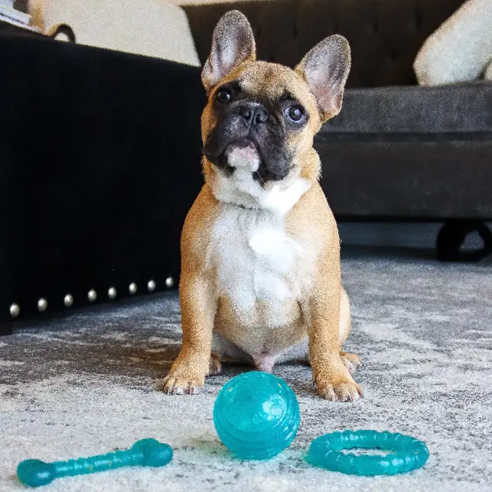 Antimicrobial Toys - Teal 4" Ring